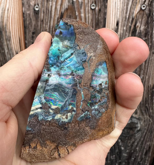 Boulder Opal mit Farbspiel